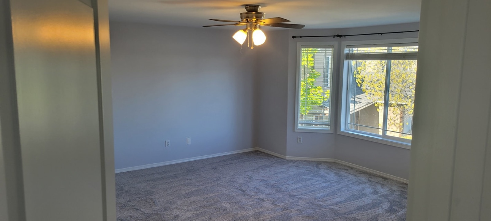 Interior Repaint and Carpet
